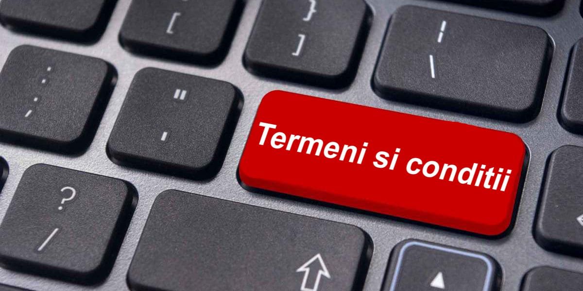 Termeni si conditii - Hosting Vision