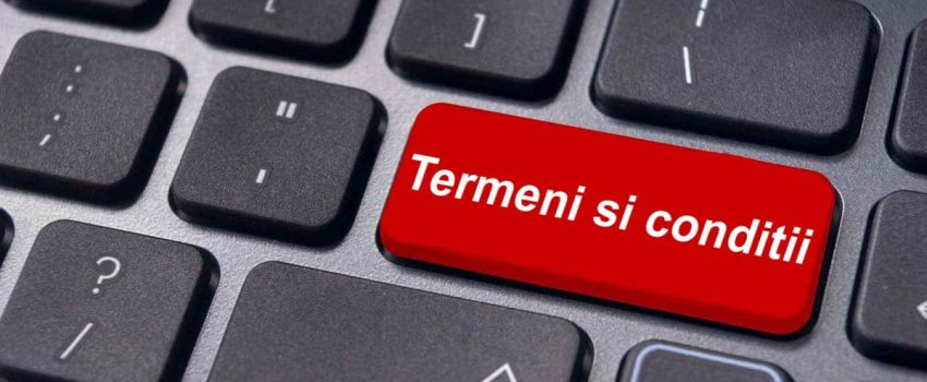 Termeni si conditii - Hosting Vision